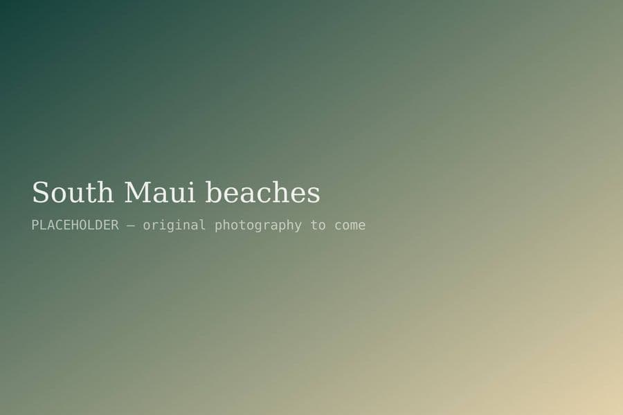 A south Maui beach in the afternoon